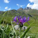 Vallée d'Ossau - Ur eta Lur, Canyoning et Randonnée