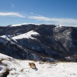 Randonnée raquette Pays basque - Ur eta Lur, Canyoning et Randonnée