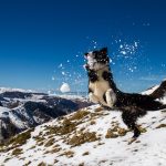 Ur eta Lur Canyoning et Randonée